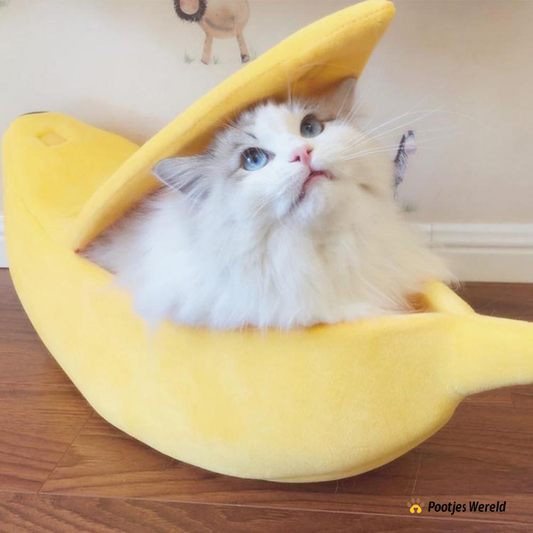 Bananenbed