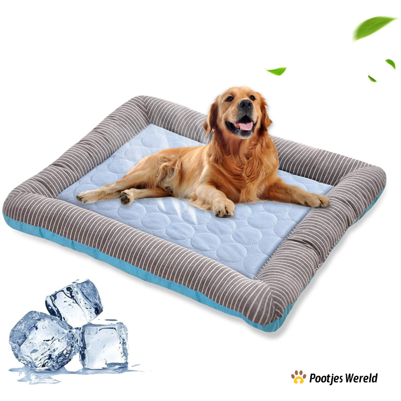 Chill & Relax Koelmat - Ideale Afkoeling Voor Je Hond