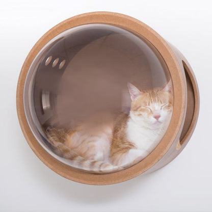 Ruimte Kat Capsule